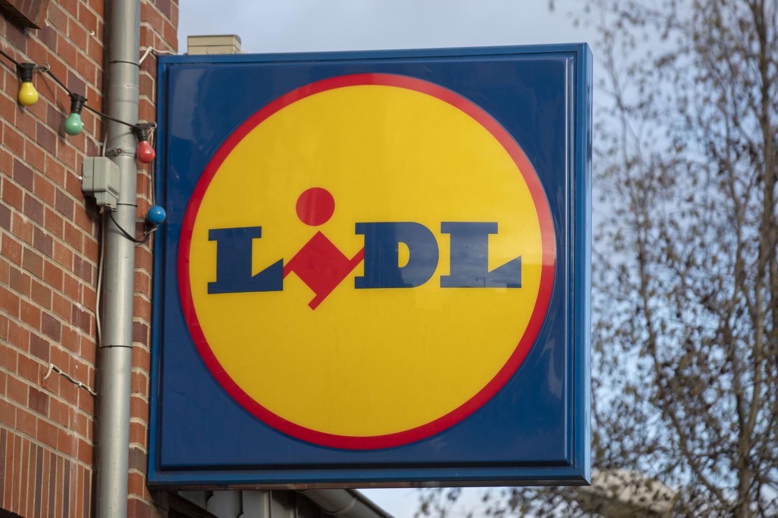 Lidl hails bumper Christmas as ‘shoppers switch from traditional supermarkets’ 