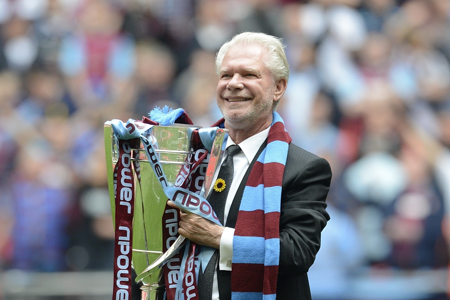 West Ham joint chairman David Gold dies at age of 86 after a ‘short illness’ 