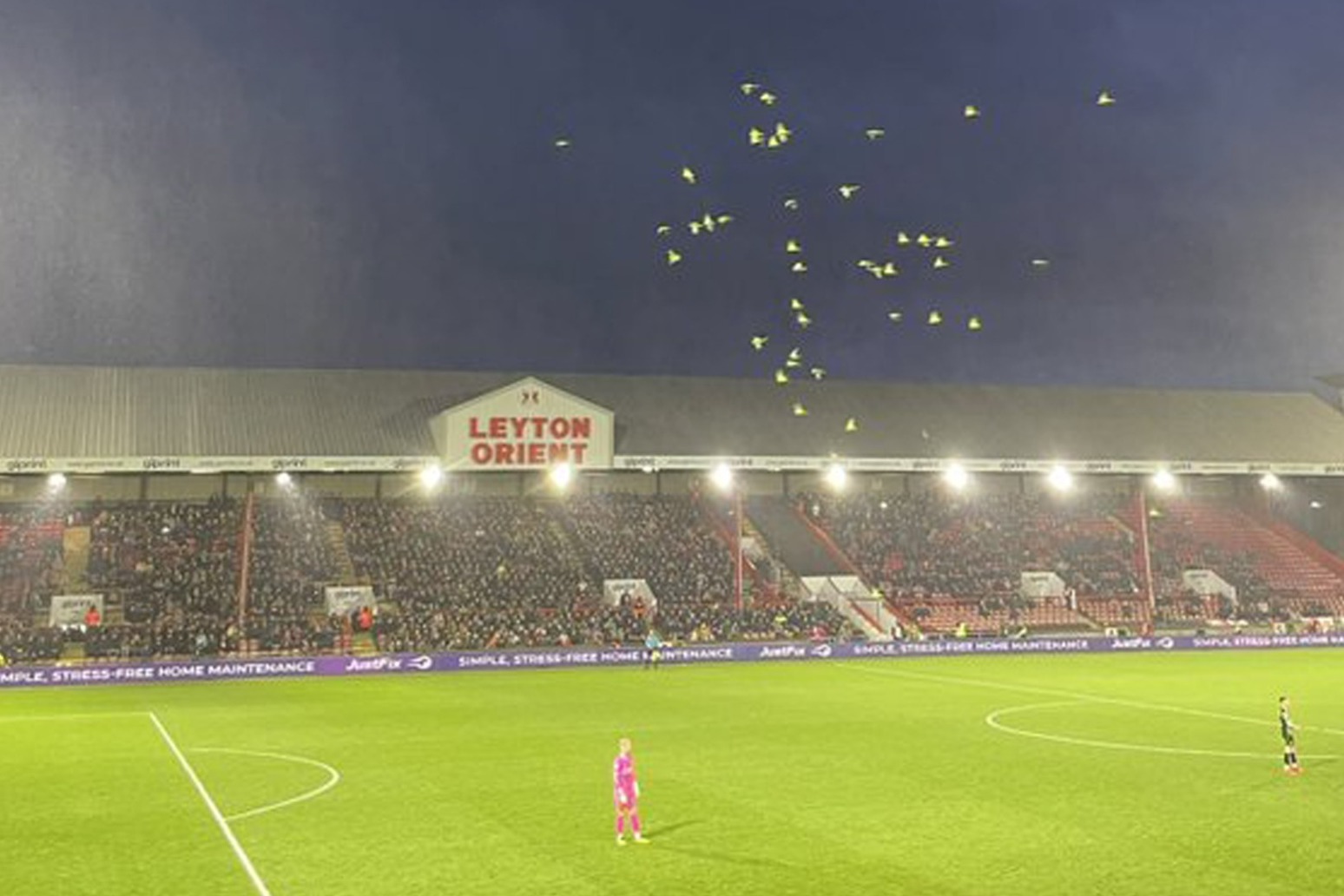You’re only here for the parrots, fans chant as birds swarm Leyton Orient pitch 