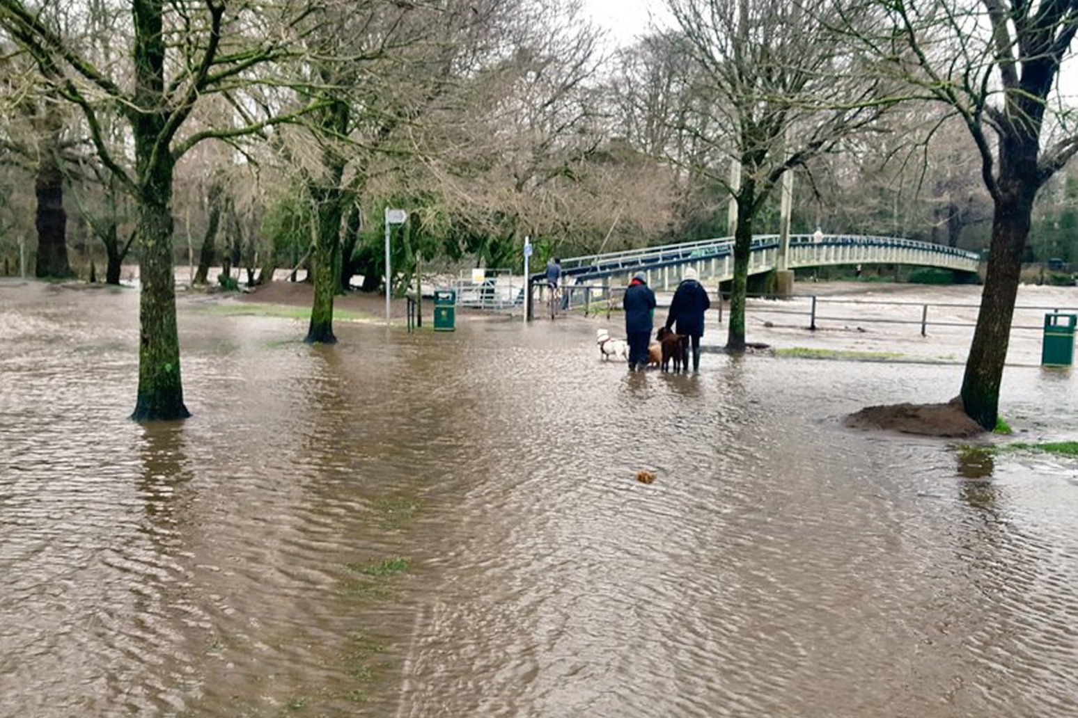 UK has wettest February on record 