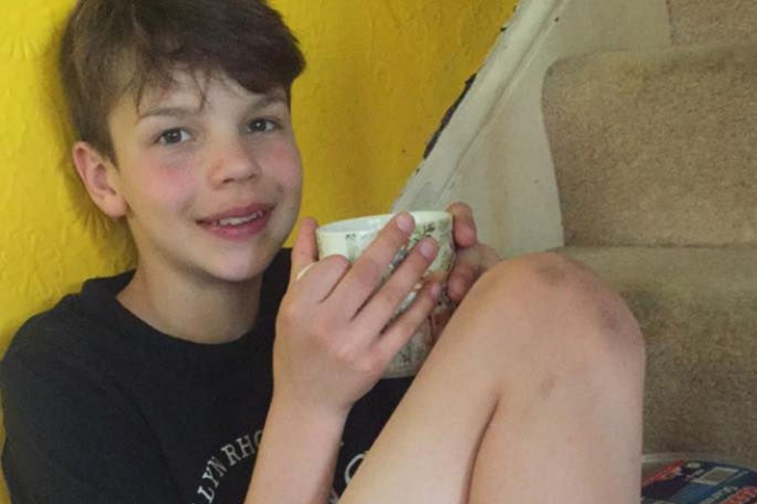 Boy, 12, climbs to peak of Everest by going up and down his stairs 2,507 times 