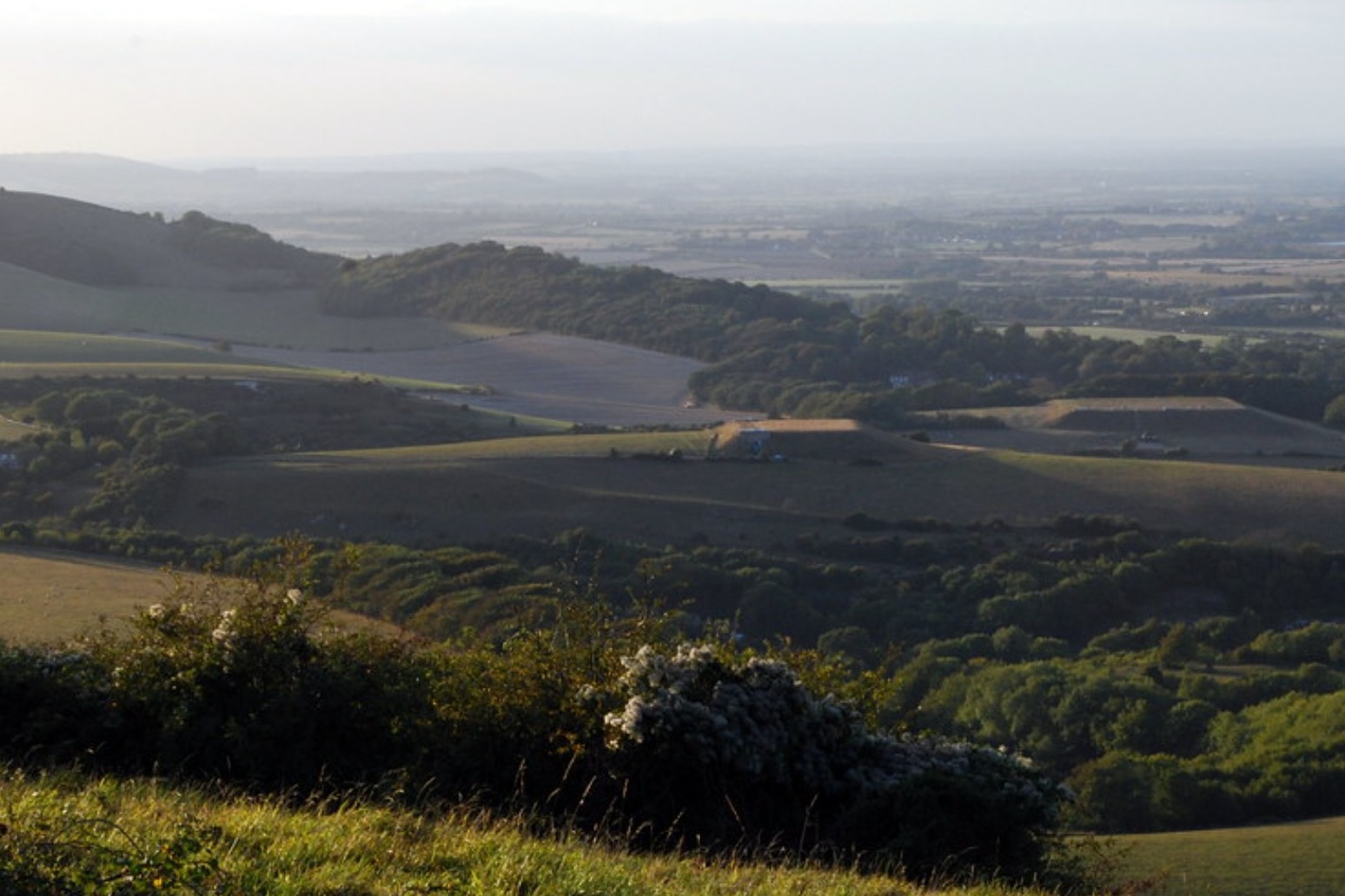 Police make 23 arrests after 1,000 attend rave in Sussex countryside 