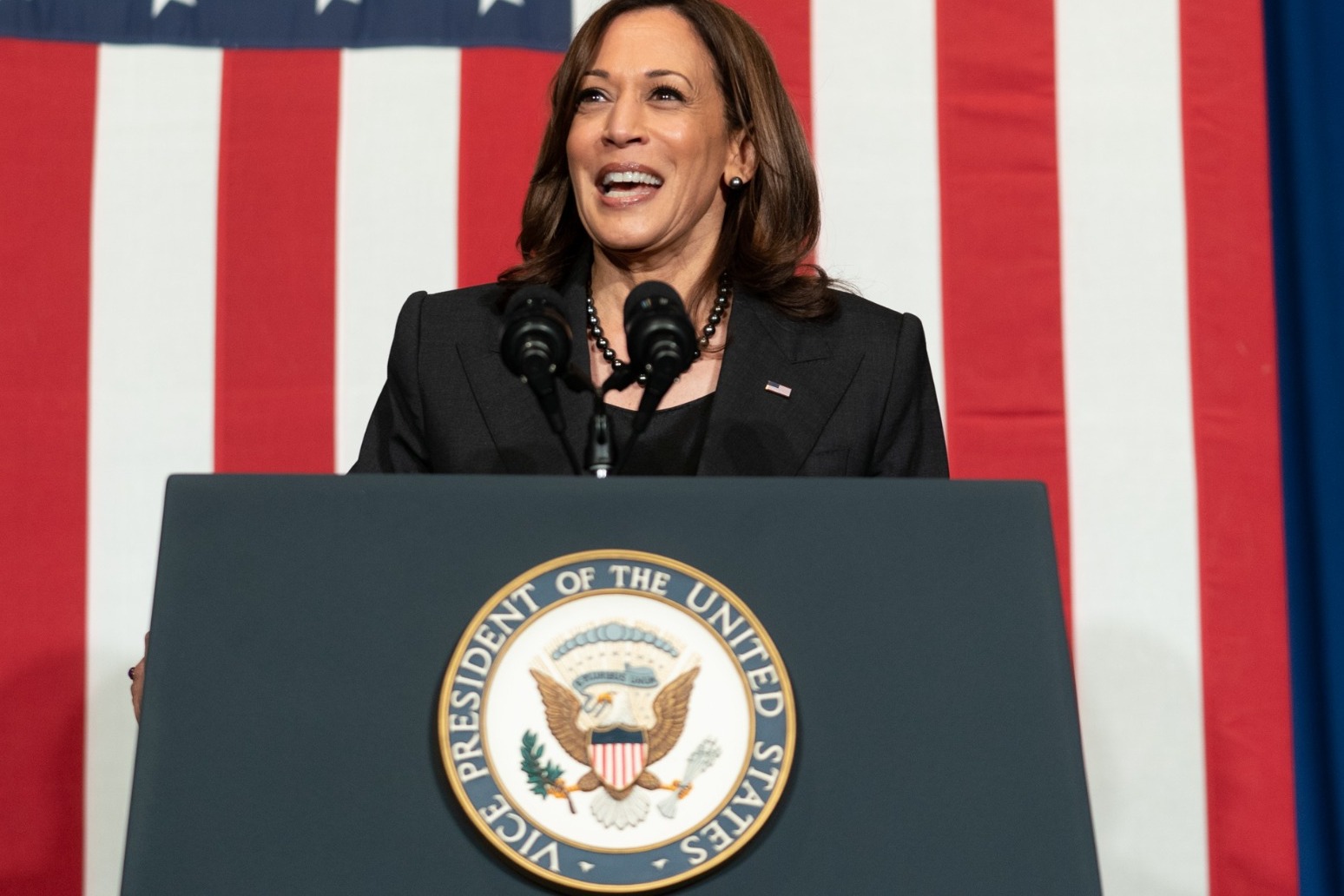 Kamala Harris calls for assault weapons ban after Buffalo and Texas shootings 