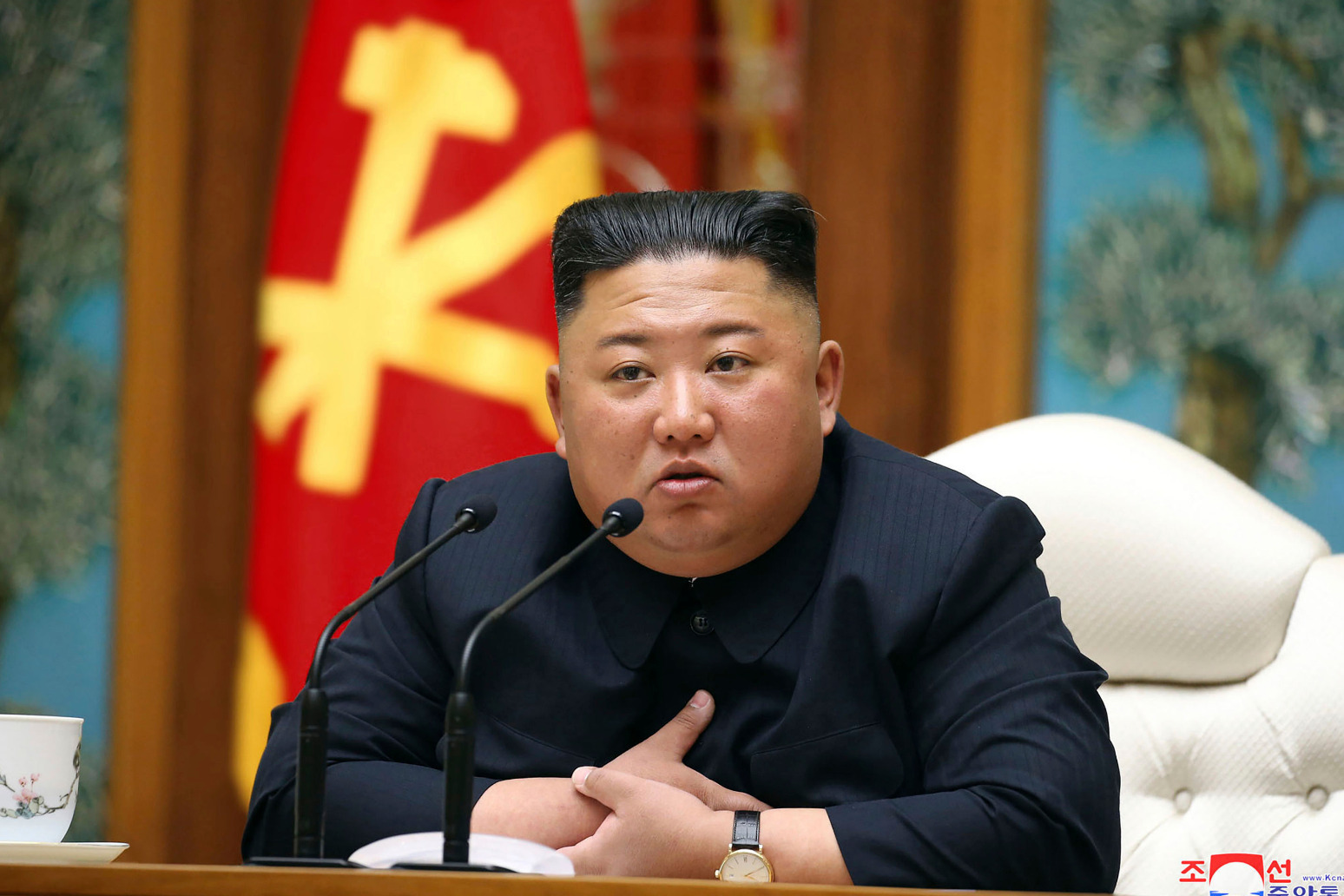 North Korean leader appears in public 