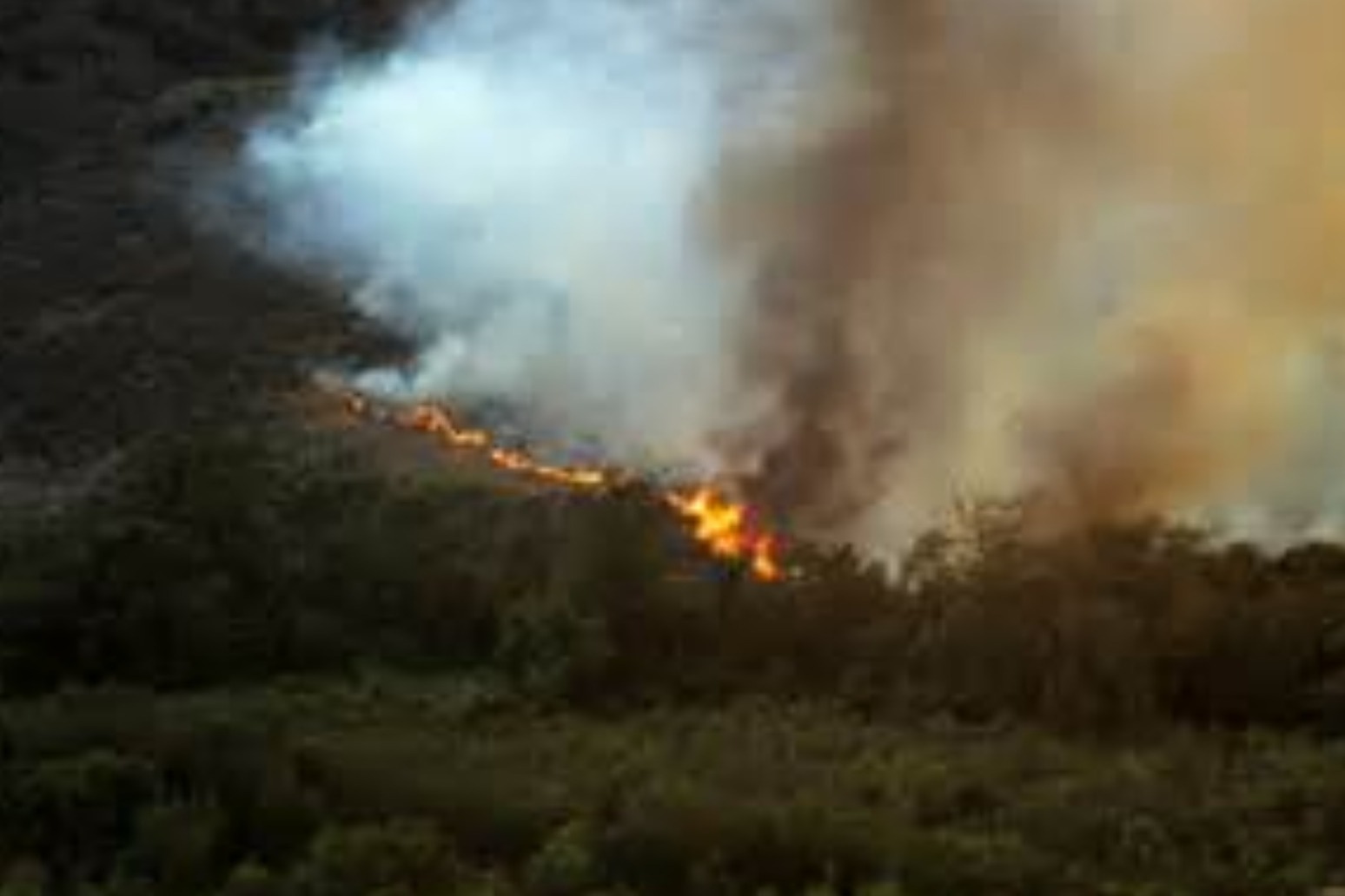 FIREFIGHTERS MAKING PROGRESS AGAINST CALIFORNIA FIRES 