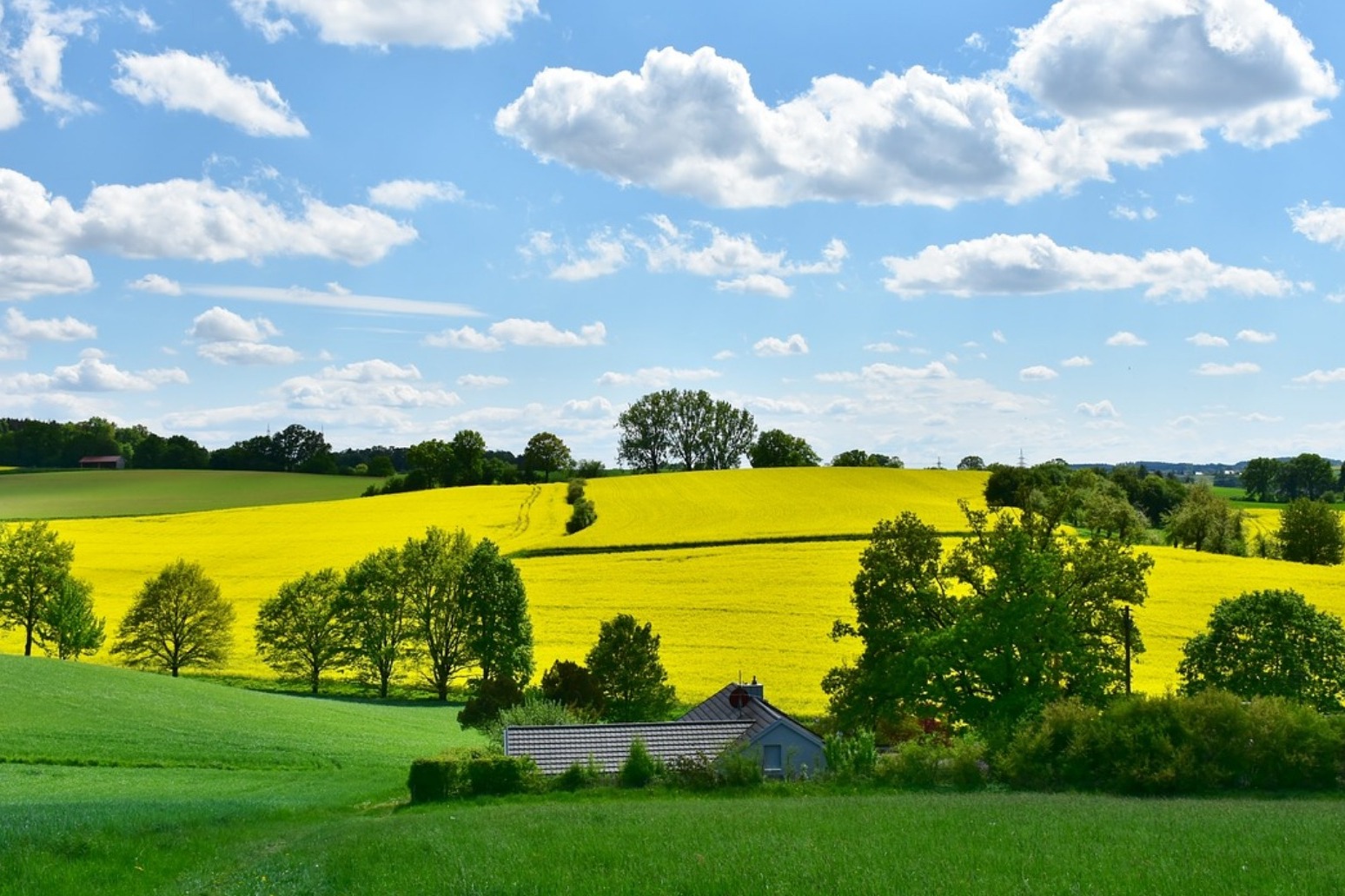 People in rural areas to be left behind post Brexit 