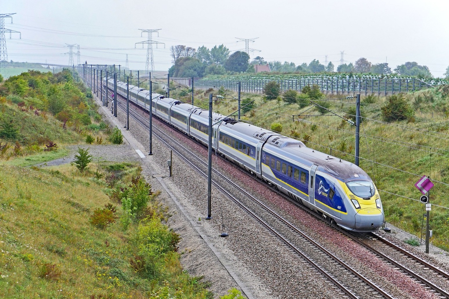 Man arrested after Eurostar suspends train services due to trespasser 