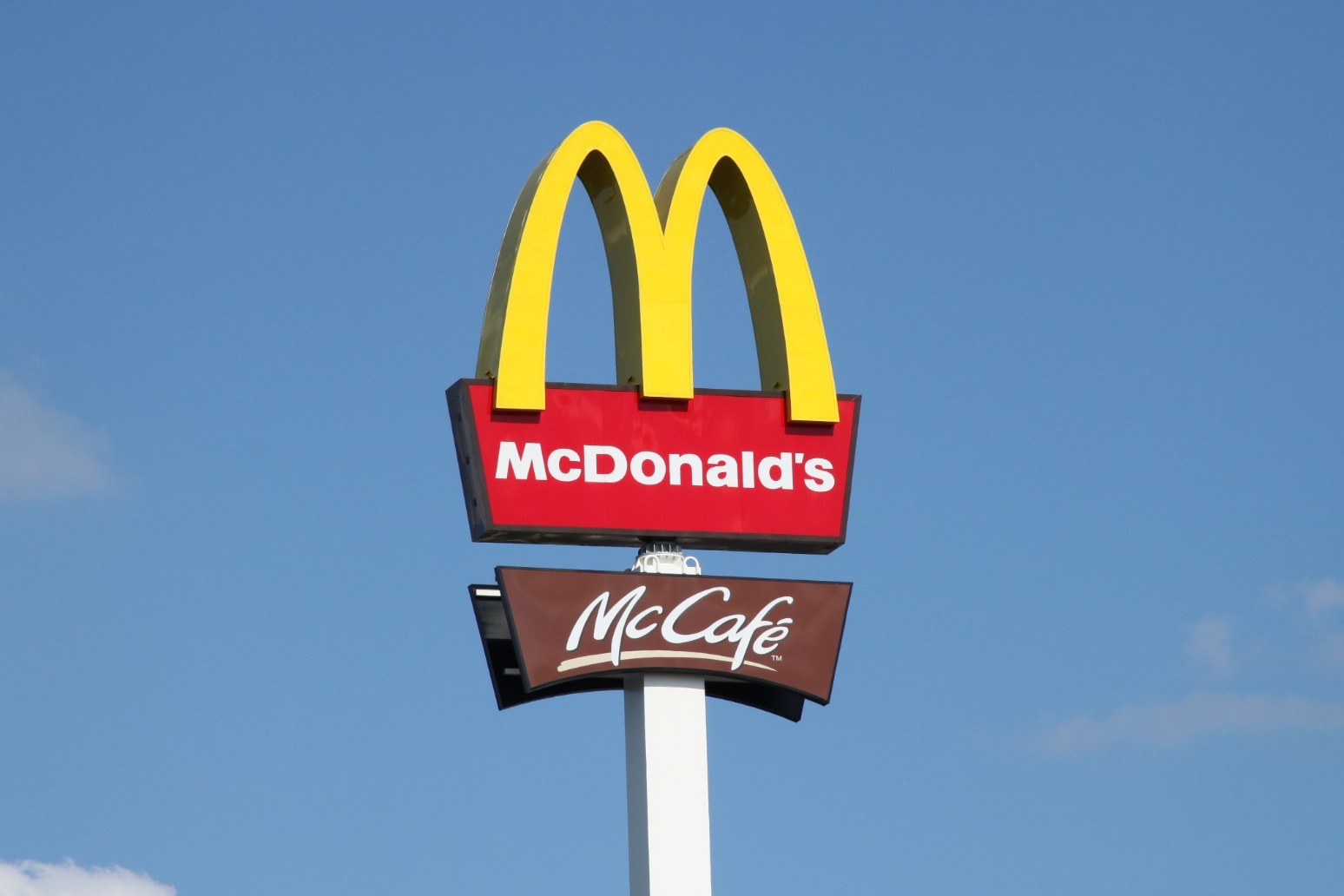 14 arrests after animal rights activists blockade McDonald’s depots 