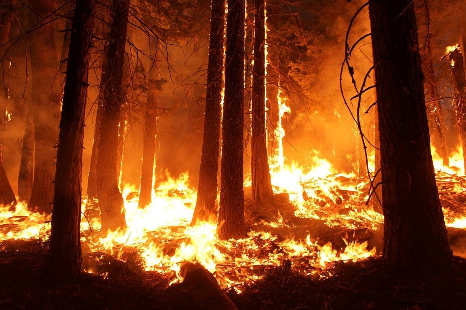Nine killed, 35 missing in California wildfire; Malibu threatened 